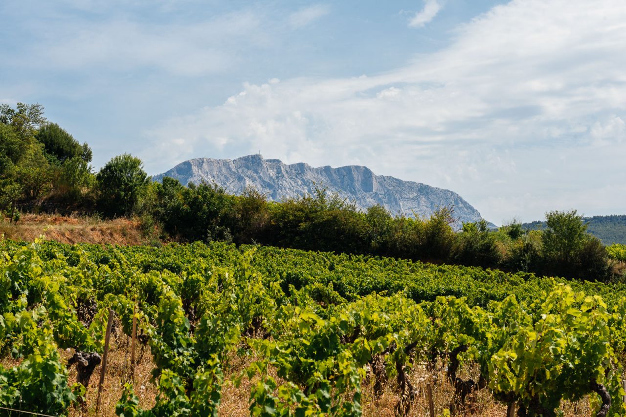 aix wine tour