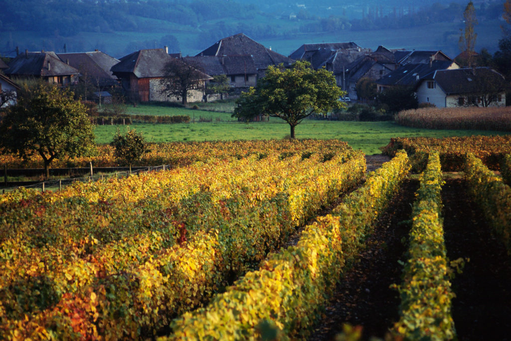 Savoie Wines of the French Alps Tour