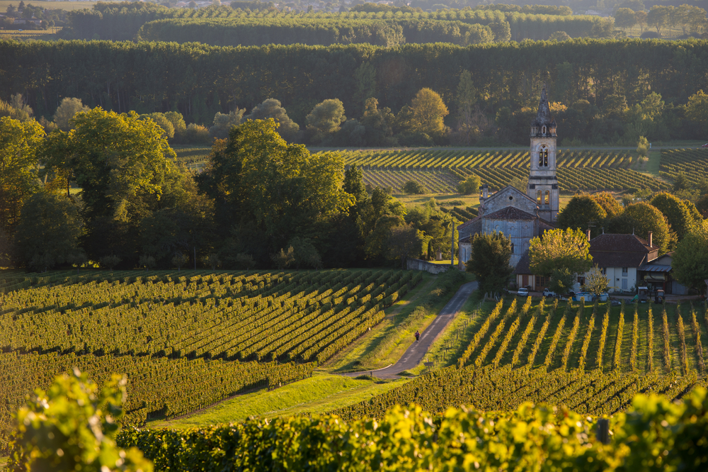 luxury bordeaux wine tours